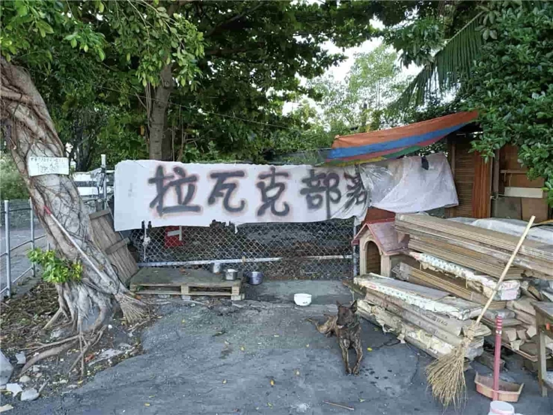 被遺忘的人們
